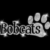 GLT17 SILVER GLITTER Thumbnail