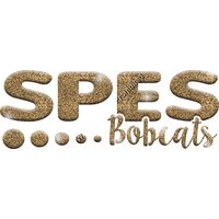 GLT80 GOLD GLITTER Thumbnail